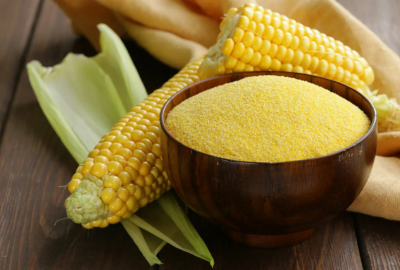 Corn & Maize Processing